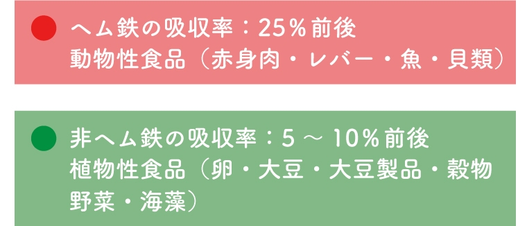 鉄分を摂取できる食品