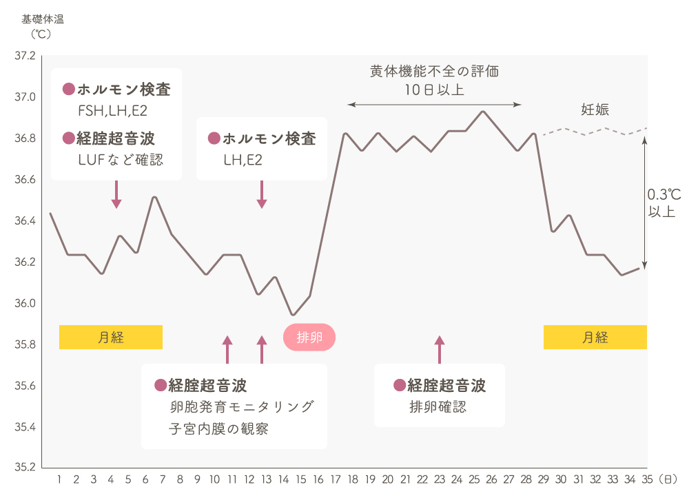 ホルモンバランス検査