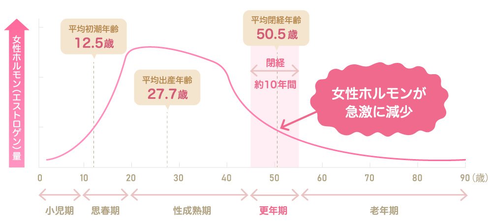 更年期の女性ホルモン量の変化