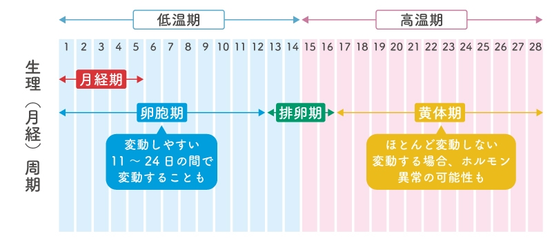 正常な生理の生理不順の定義