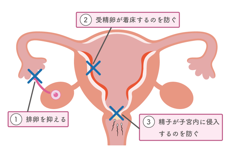 低用量ピルの効果