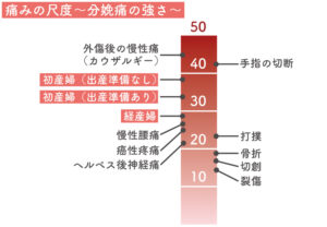 マギール（マクギル）痛み尺度