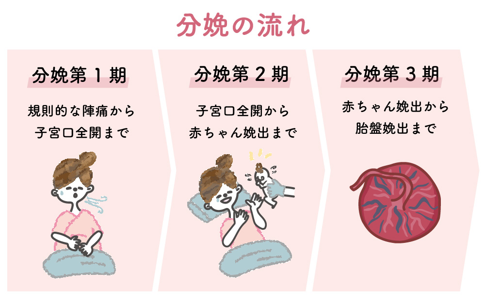 分娩の流れといきみ逃しを行うタイミング